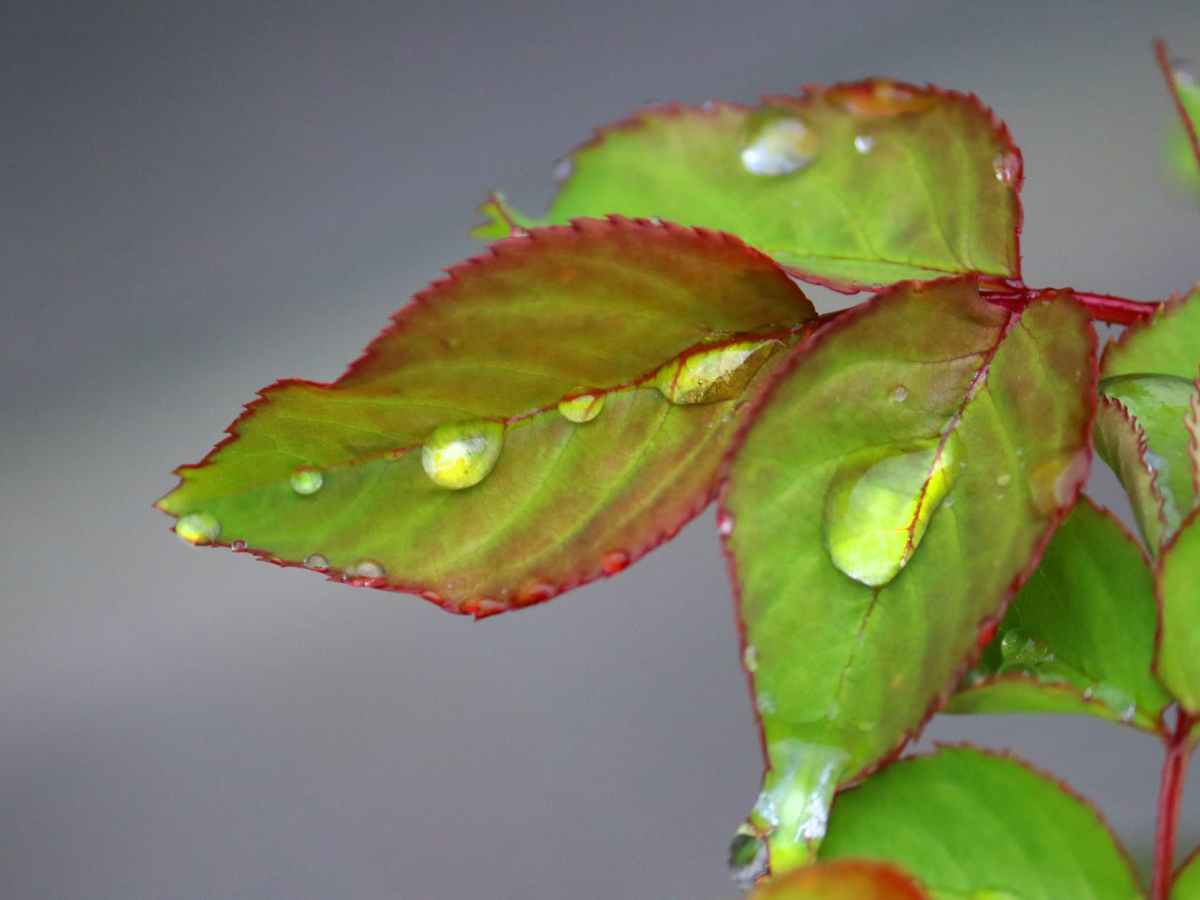 The Epic in the Ordinary